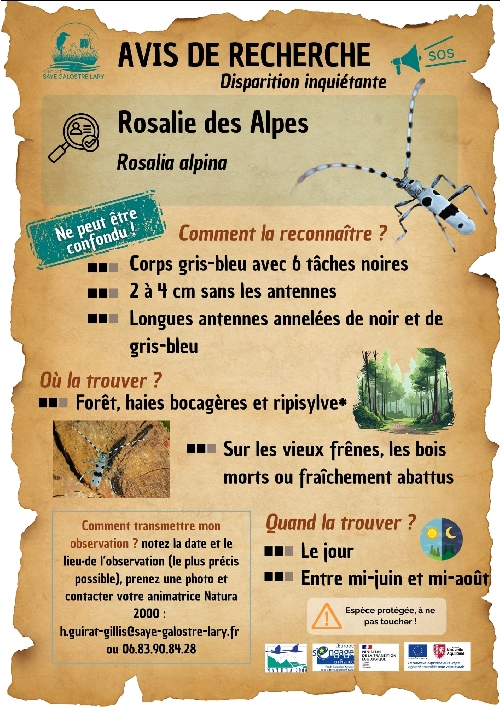 Sites NATURA 2000 Saye/ Meudon et Lary/Palais