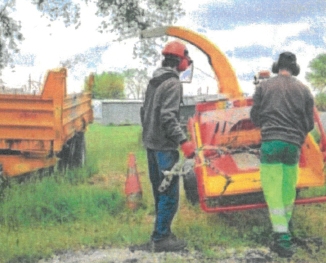 Déchets verts